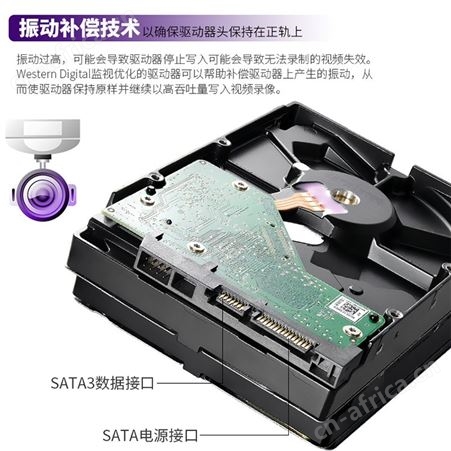 西数WD WD22EJRX 2T 紫盘 NAS网络存储监控硬盘SATA接口垂直CMR