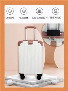 爱登堡(Edenbo)行李箱女时尚商务拉杆箱出差USB充电旅行登机箱子