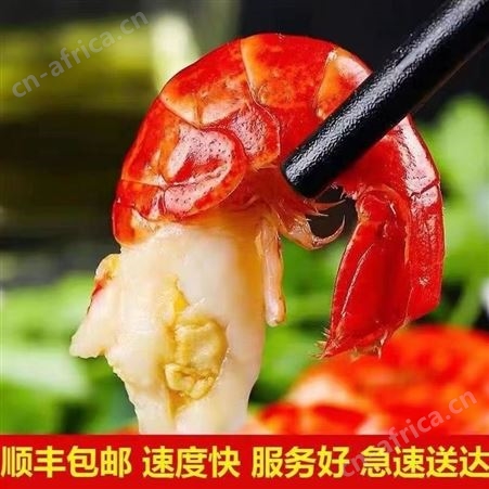 龙虾尾特大号活虾现剥麻辣小龙虾虾球海鲜速卖通亚马逊代发