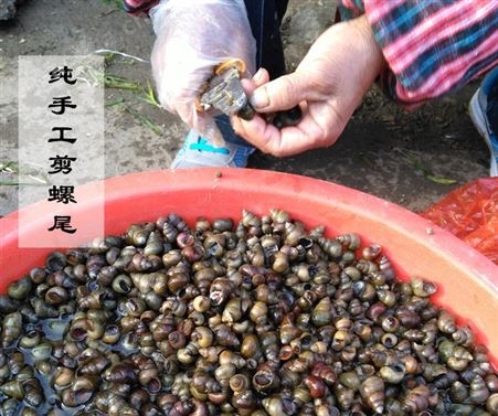 野生农家新鲜手工挑选1斤装冷冻螺蛳肉石螺肉嗦螺肉螺丝肉田螺肉