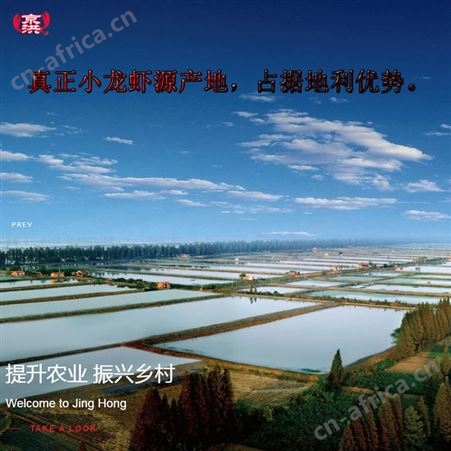 松原周黑鸭麻辣小龙虾尾100gX3盒即熟食锁鲜气调盒装香辣虾球特产