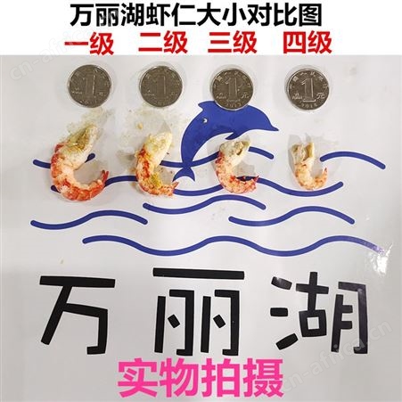 新货包邮去黄3级龙虾仁冷冻去壳龙虾尾肉小龙虾盖浇饭汉堡4斤商