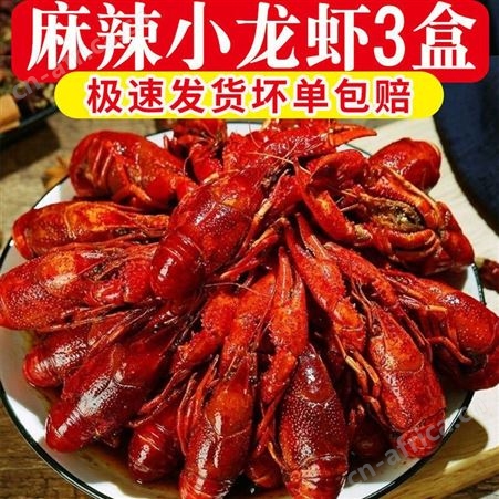 麻辣小龙虾加热即食熟食蒜香十三香真空盒装龙虾鲜活-18℃冷冻180