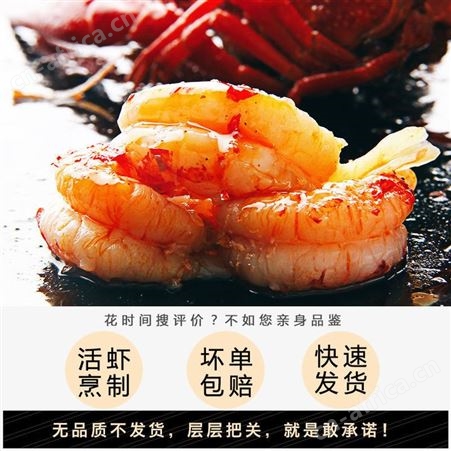 麻辣小龙虾大号香辣蒜香蓉十三香味海鲜熟食加热即食小龙虾尾盒装挺值