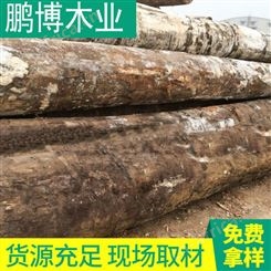 现货大量供应香樟木木材 香樟木原木定尺加工香樟木板材