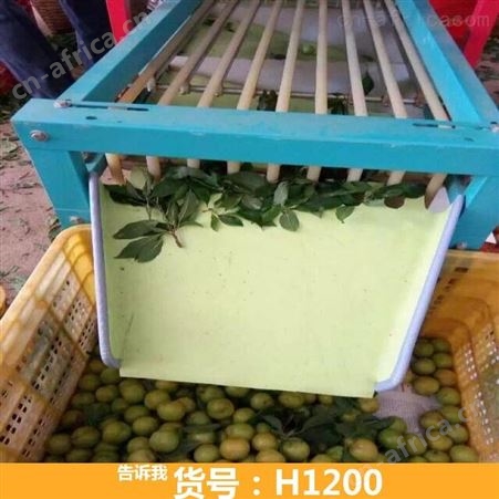 钜都滚杠选果机 小型选果机 火龙果选果机