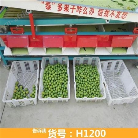 钜都滚杠选果机 小型选果机 火龙果选果机