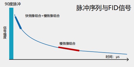 低场核磁用于顺丁橡胶含量检测 低场核磁用于顺丁橡胶含量检测