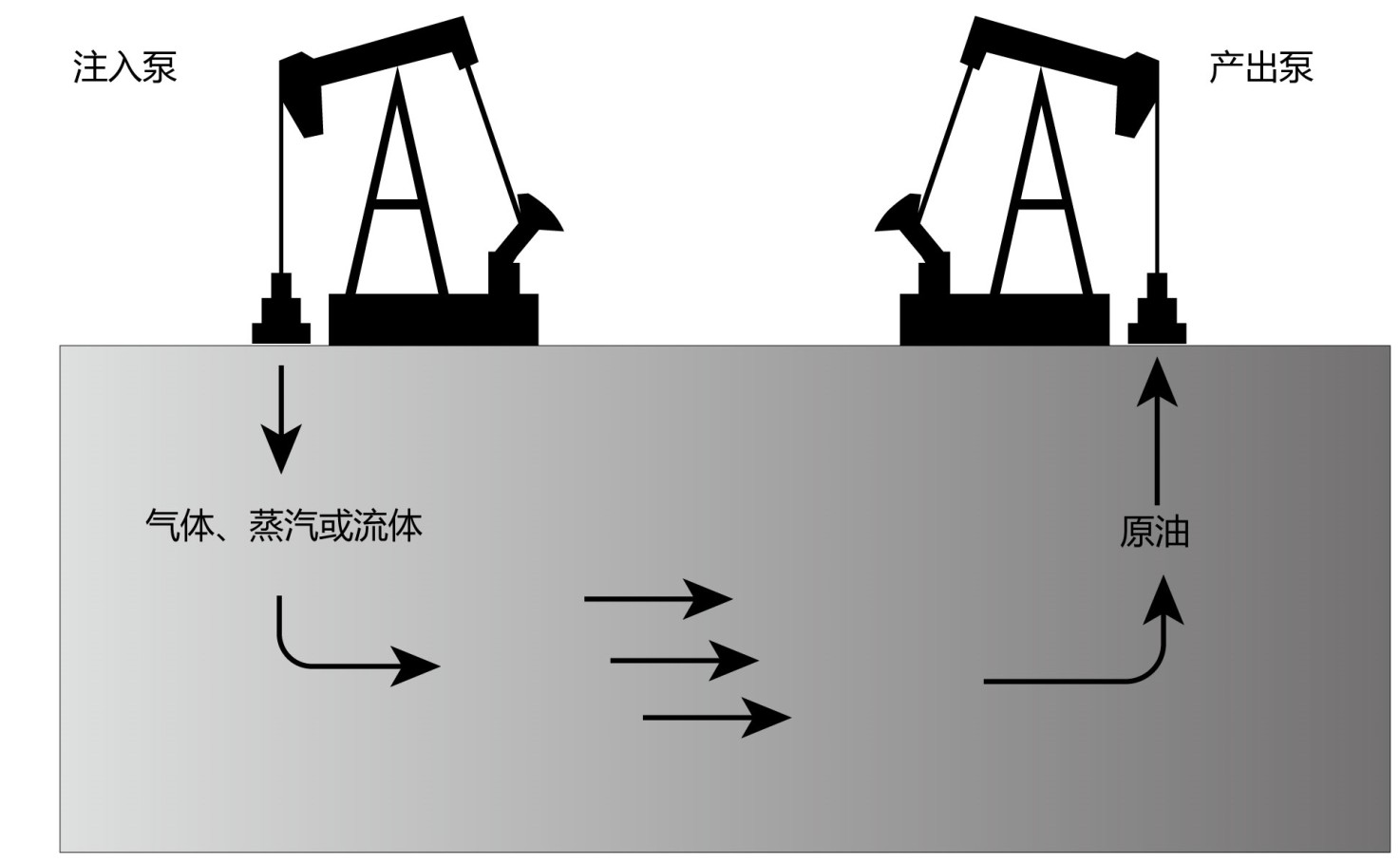 岩心聚合物驱原理-核磁共振成像技术