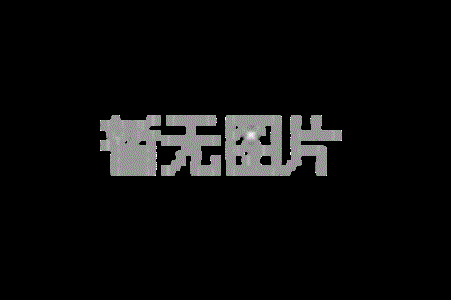 YW100WA100*100整体式二维电控位移台