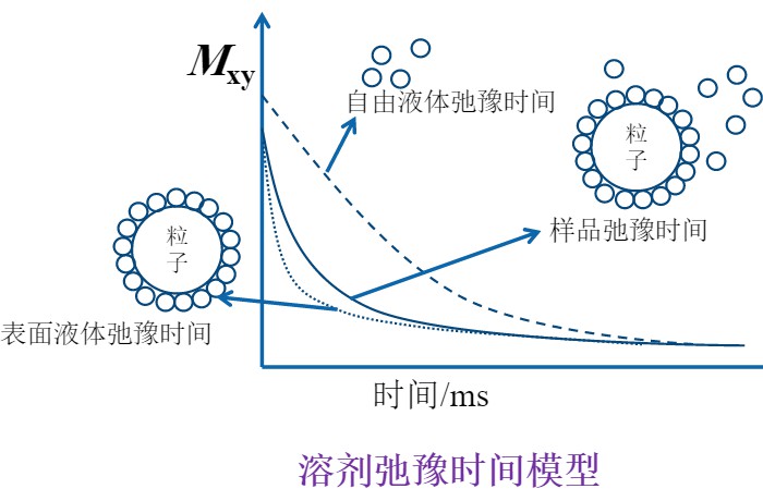 低场核磁技术用于评价纳米颗粒分散性差